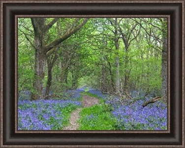 Framed Picture