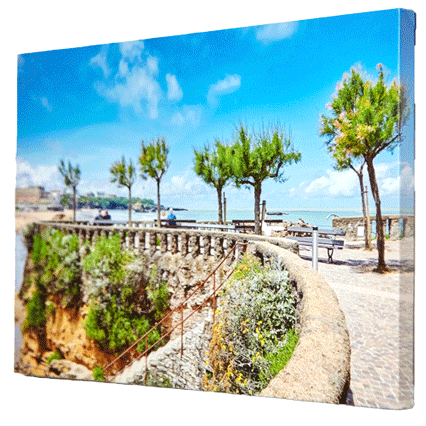 Stretched Canvas Prints