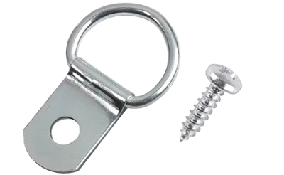 Single D Ring & screws X 10