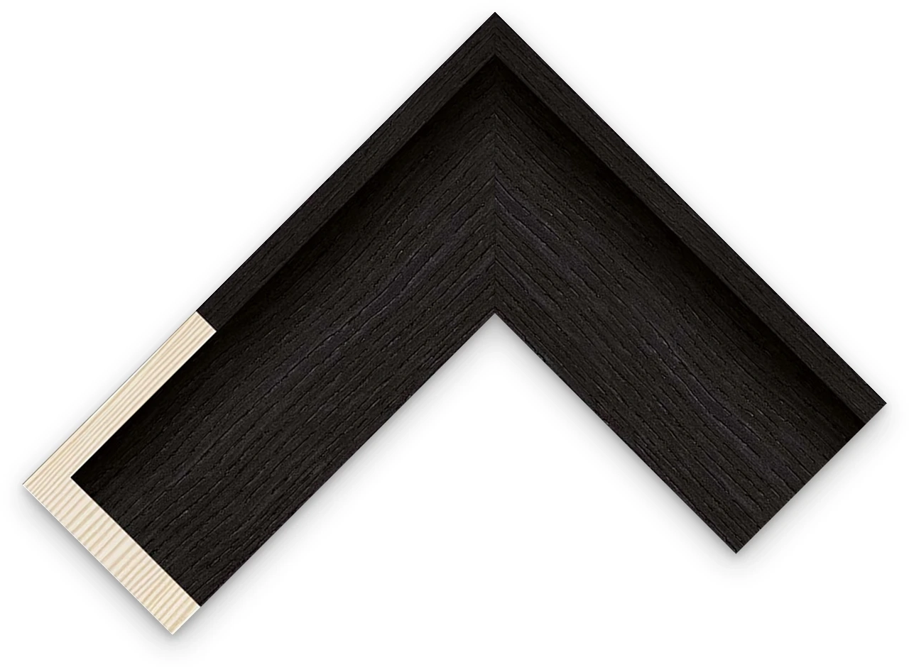 7mm Noir Black floater frame