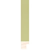 23mm Confetti Sage Green