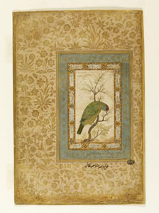 Blue-Throated Barbet (1610 to 1625)