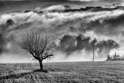 black and white photo
