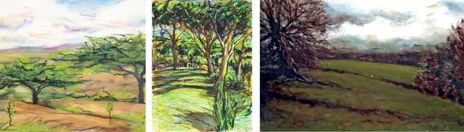 Some of Ronnie Wood�s landscapes.