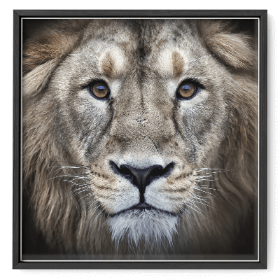 Inset Picture Frames