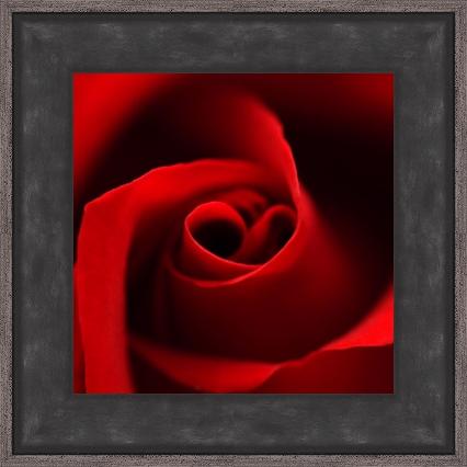 image of framed picture with no mount