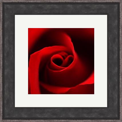 image of framed picture with a single mount